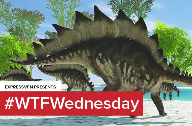 Pixels in images can hack your computer - #WTFWednesday