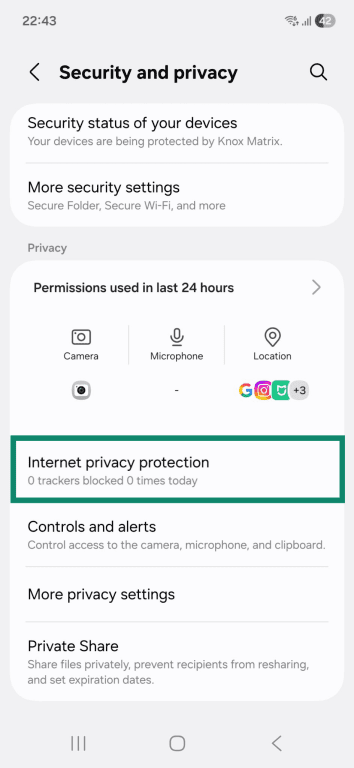The "Security and privacy" page on an Android phone. The "Internet privacy protection" option is highlighted.