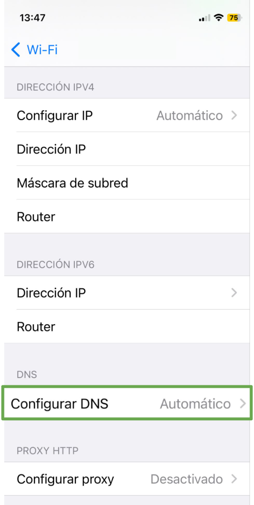 The Network Information Page Of An Ios Device Showing The Configure Dns Menu Option Es