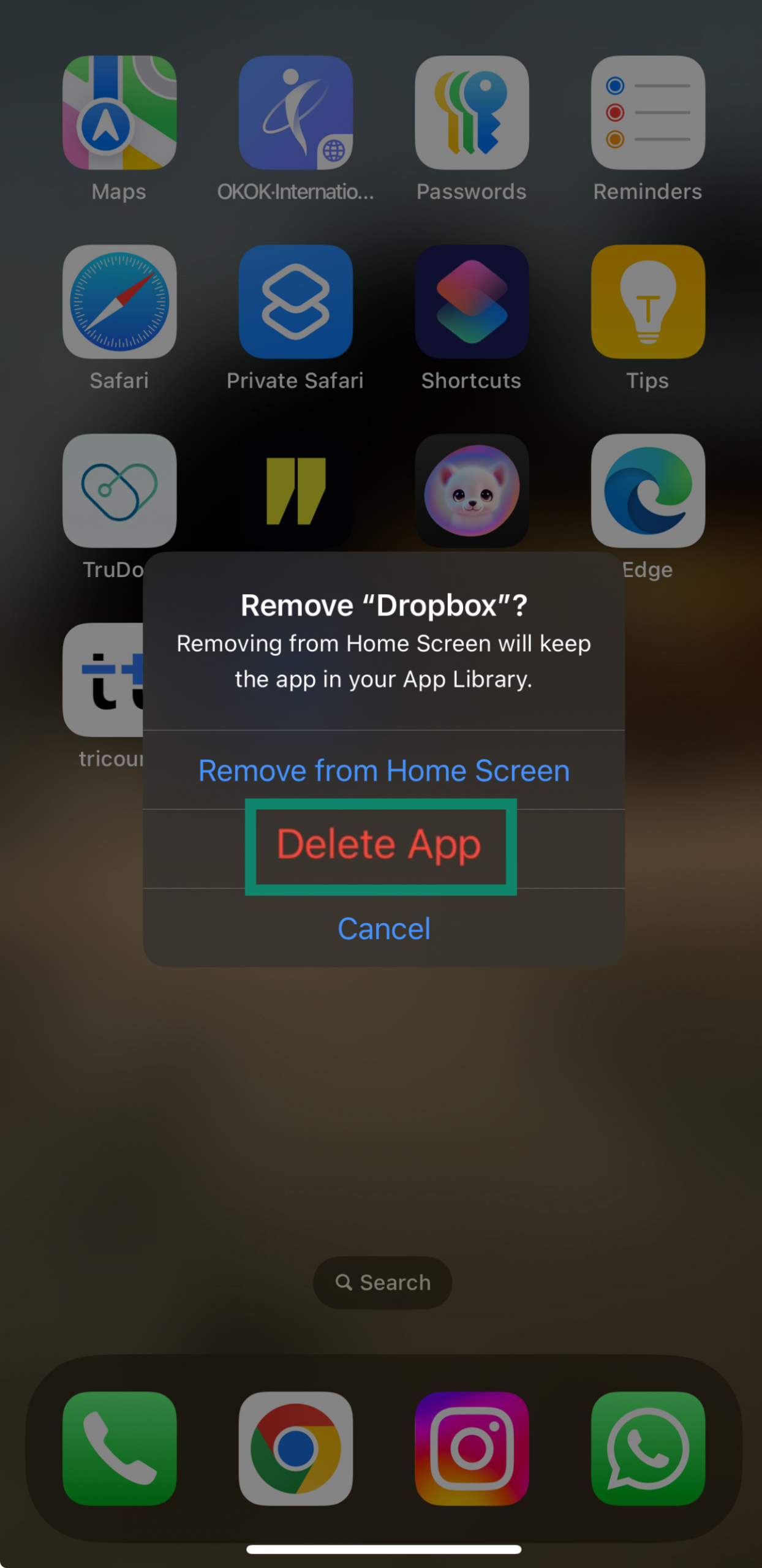 Confirm deletion on iOS by holding Delete App.