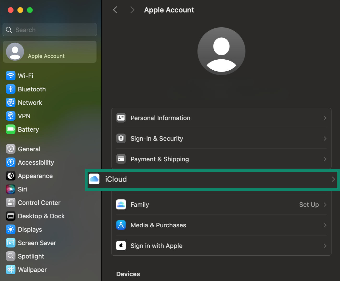 Apple Account settings page, showing the iCloud menu option.