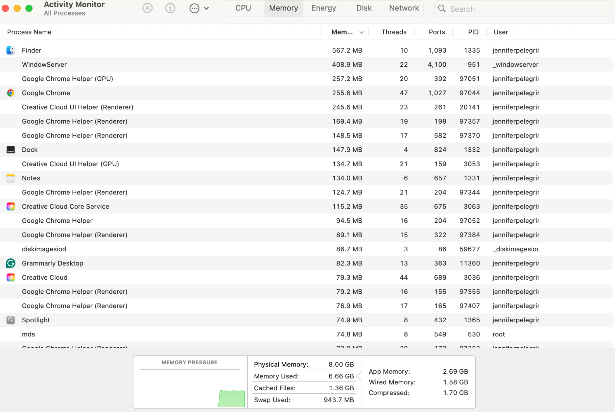 Activity Monitor with Chrome memory usage on macOS