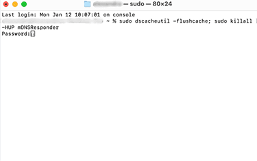 macOS Terminal windows showing how to flush cache with the command sudo dscacheutil -flushcache; sudo killall -HUP mDNSResponder