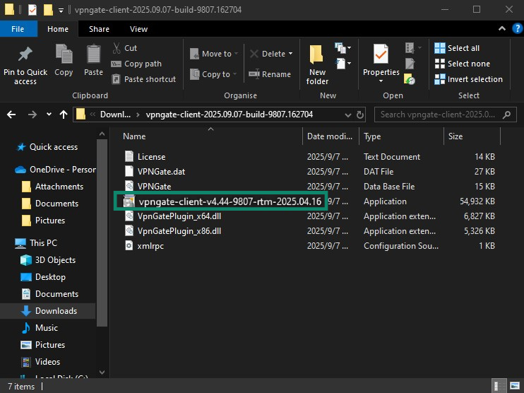 Download folder containing VPN Gate Client files with the installer highlighted.