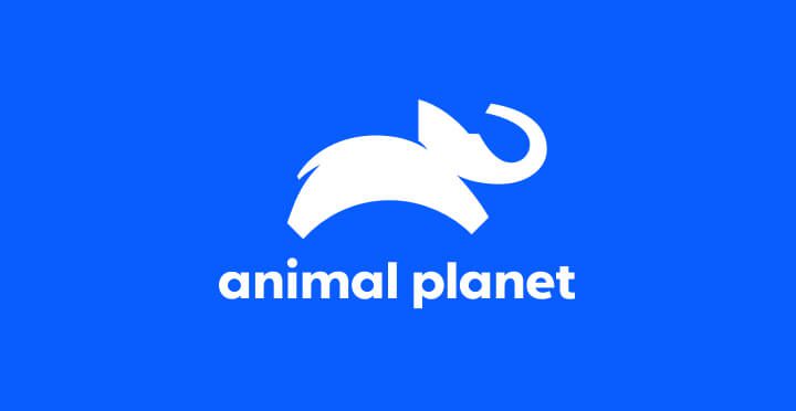 Animal Planet 로고