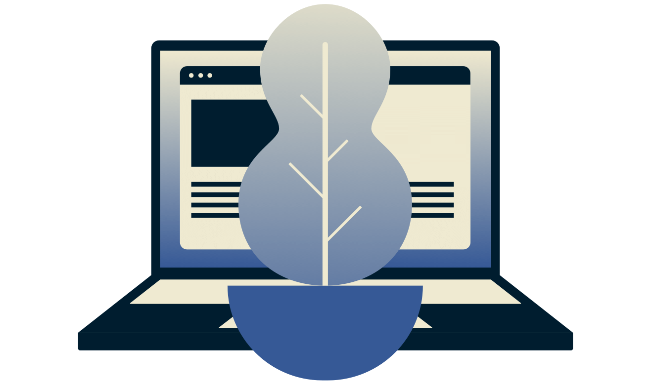 ExpressVPN kullanan birinin dizüstü bilgisayarı önündeki bir bitki.