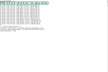 How to ping an IP address on macOS via Terminal.