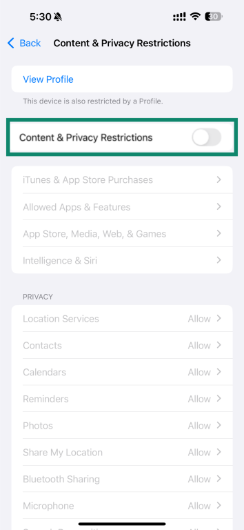 Content & Privacy Restrictions screen with toggle switched off.