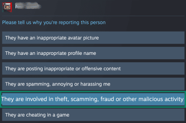 List of reasons when reporting a profile on Steam.