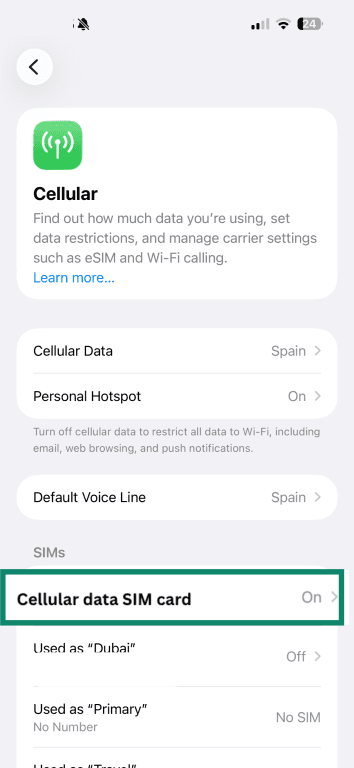Cellular data SIM card "on" on iOS