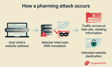 Left-to-right flow showing how a pharming attack works.