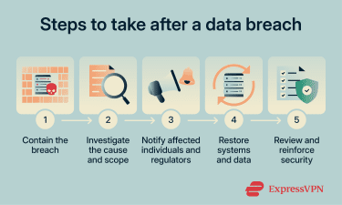 Steps to take after a data breach.
