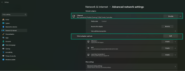 Windows 11 Advanced network settings highlighting the active network adapter and More adapter options.