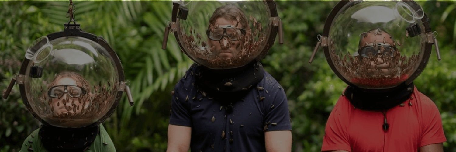 Where to watch I'm  a Celebrity online